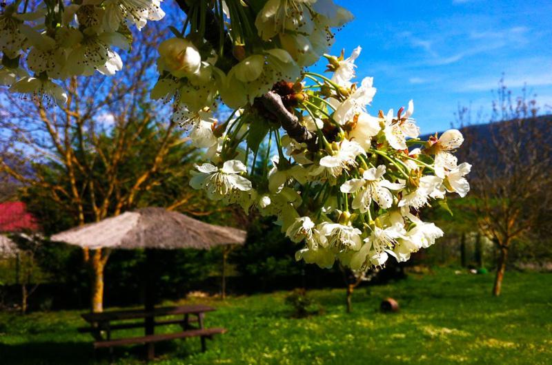 Arte Y Natura Valdivielso Ξενοδοχείο Quintana de Valdivielso Εξωτερικό φωτογραφία