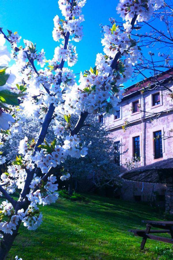 Arte Y Natura Valdivielso Ξενοδοχείο Quintana de Valdivielso Εξωτερικό φωτογραφία